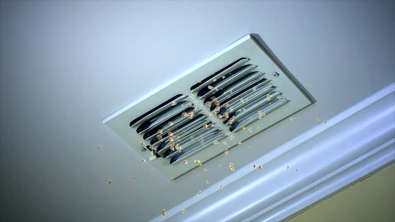 Best Air Duct Cleaning Near Me  in Flowood, MS